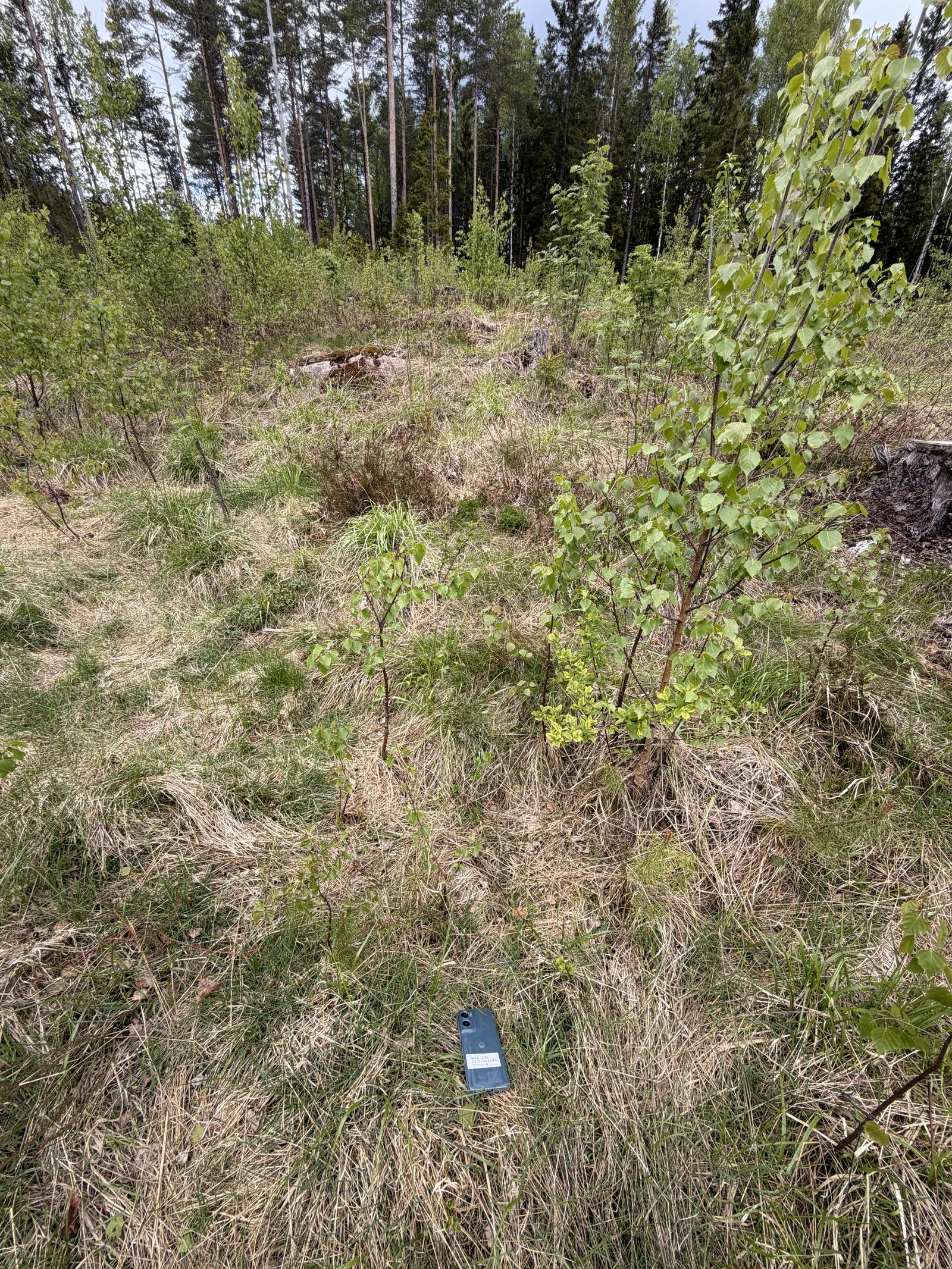 Shelby Motorola-telefon i blått deksel plassert på bakken i skogen, tar opp lyd